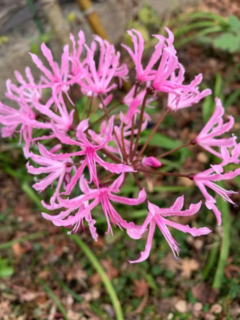 只今、出勤中です♪