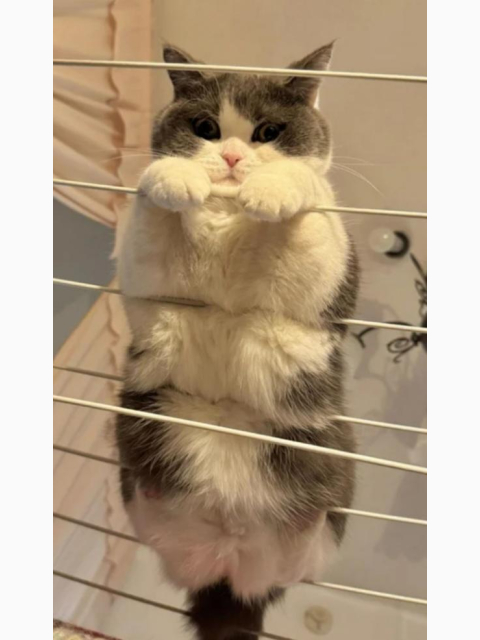 12時～出勤します♪