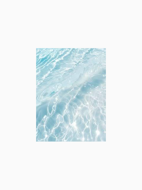 🐳さんについて【再掲】