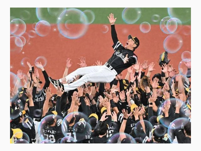プロ野球、結果⚾️