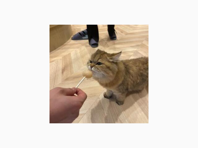 ありがとうございました♡