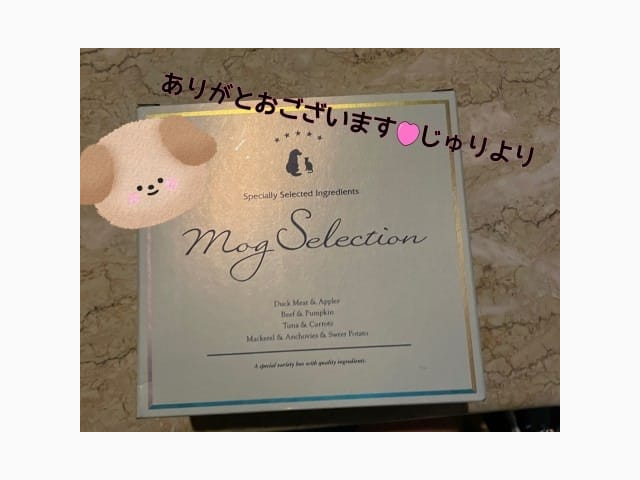 ♥♥新年あけましておめでとおございます♥️♥️