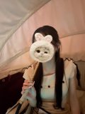 🍀*゜