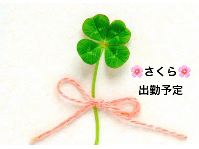 さくら今週のシフト