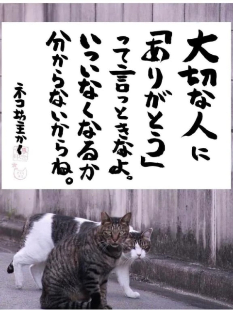 感謝の気持ち❤️久留米のお兄様😍