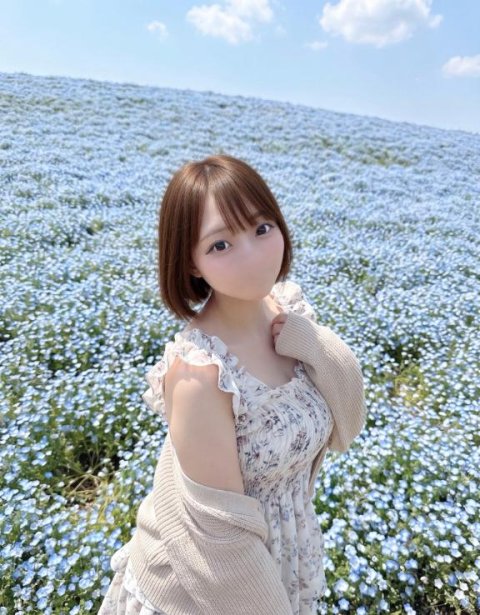 お花畑