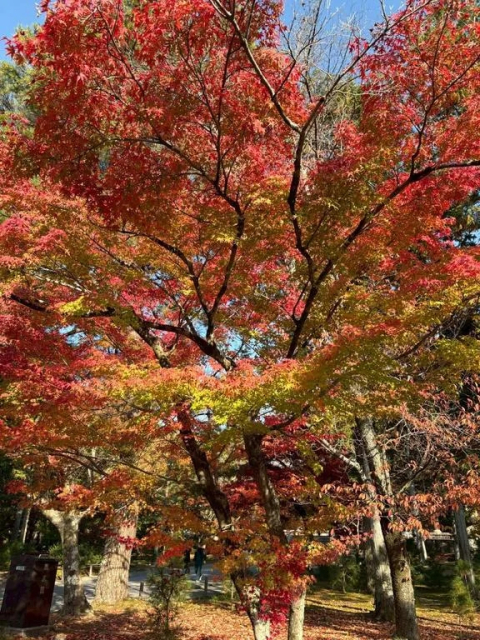 30日のお礼です♪