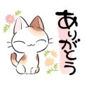 昨日🤗