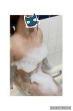 🐱