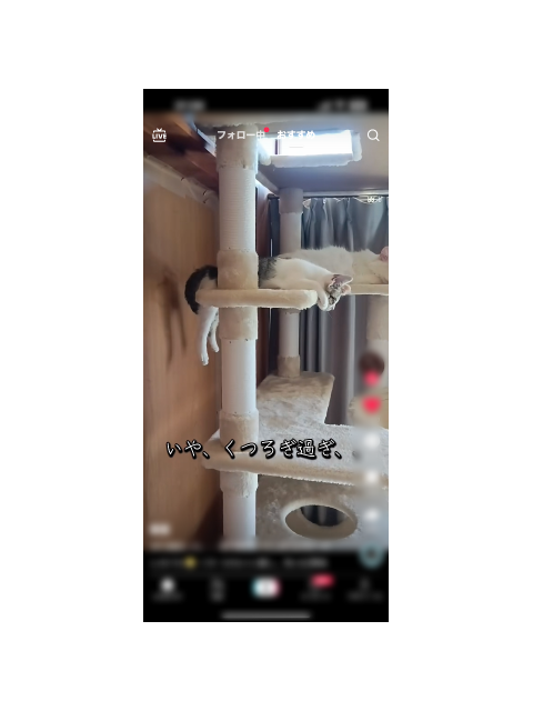 どんなときも♪どんなときも🎤