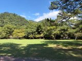 10月8日お礼