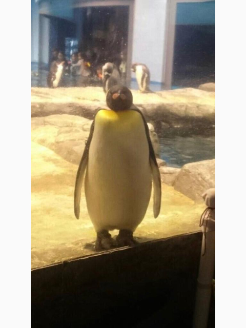 お久しぶりです😅元気です