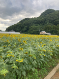 そろそろ寝るよん☆