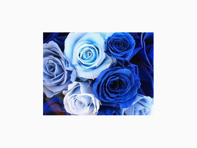 ご予約ありがとうございます♡