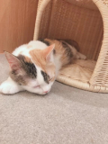 これから出勤します!