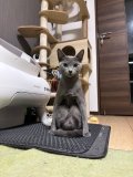 おやすみ！