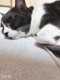 深夜に…😭