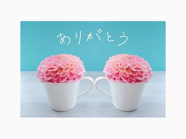 5月7日 お礼
