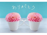 5月7日　お礼