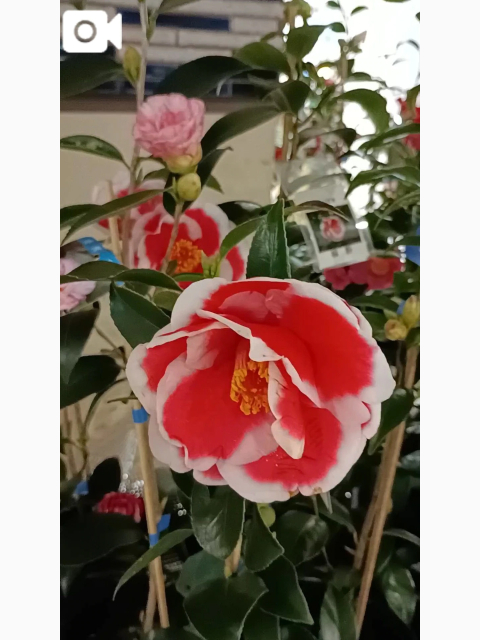 H様へ