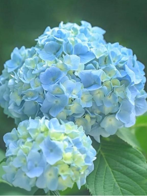おはようございます✨✨