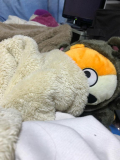 ありがとう