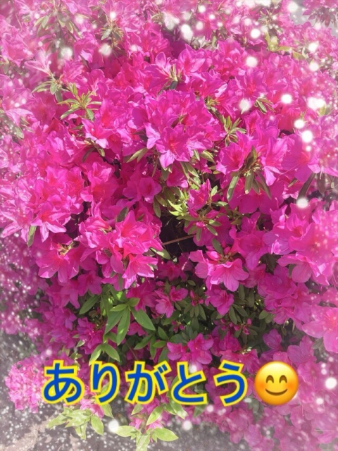 お礼の日記　5/20