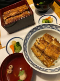 20日（月）より、、、
