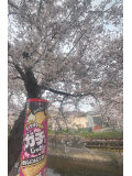 今月も爆裂ありがとうございます！！(*≧∀≦*)???