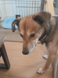 休日の過ごし方💗