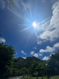 日焼け対策してる？に回答♪