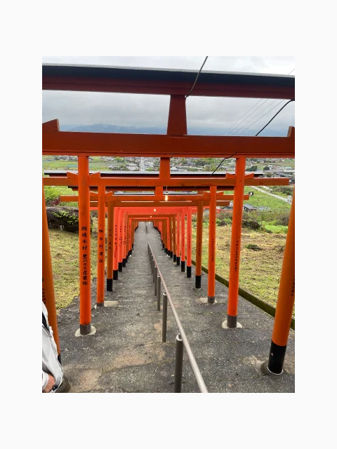 こんにちは。しおんです。本日、、夕方より