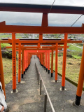 こんにちは。しおんです。本日、、夕方より