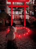 今年も観たいな🍁