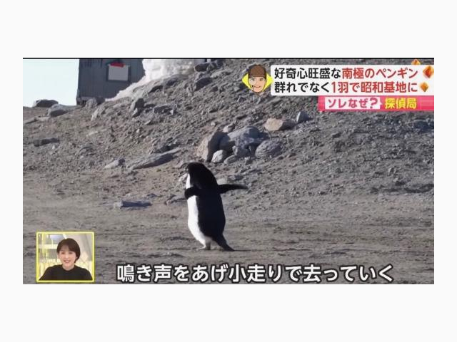 🦋ちょっと遅れる💧