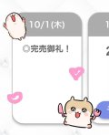 🈵10月最初うりきれ🈵