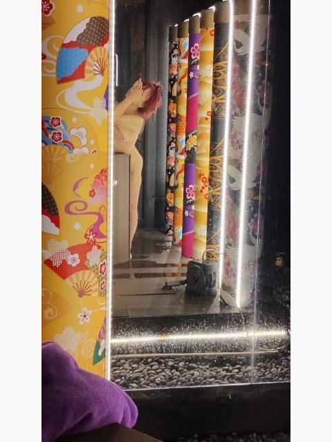 今日も❣️有難う御座いました❣️