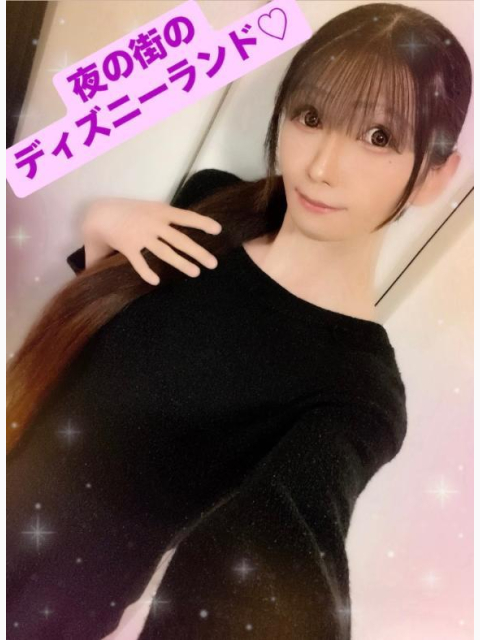 夜の街のディズニーランド♡