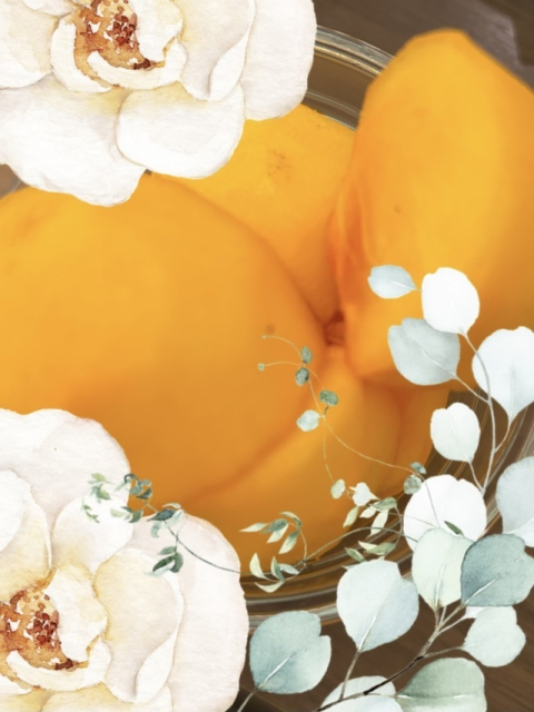 おはようございます🌸