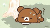 今日も暑い