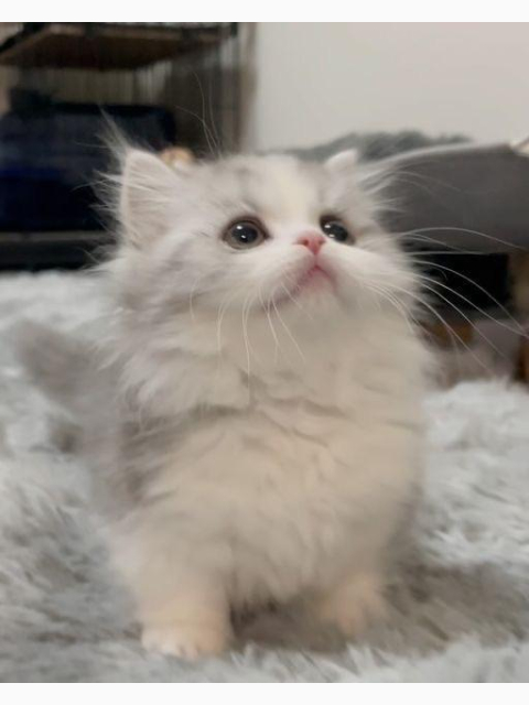 つぎ15日です^_^