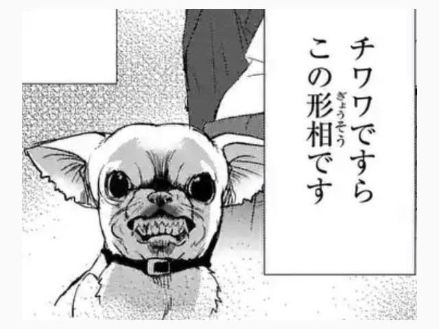 🦋お礼日記なしです😓