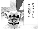 🦋お礼日記なしです😓