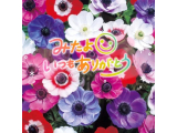 昨日のみたよポチっとさんありがとう♥️【10/23】
