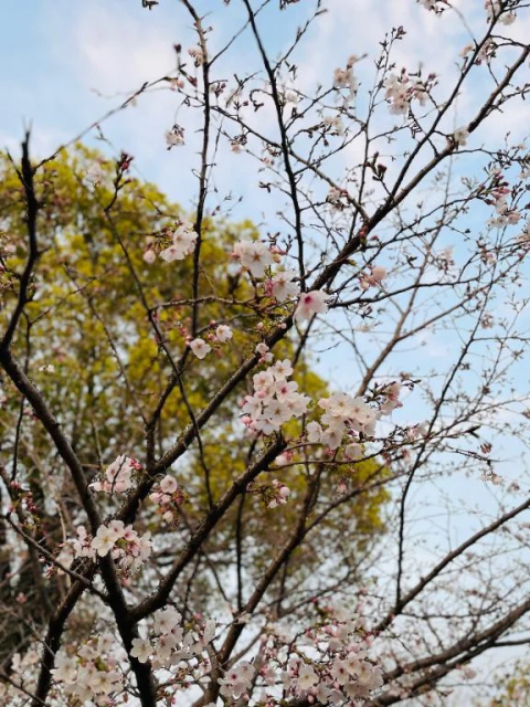 ♡ありがとうございました♡