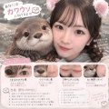 【似てる動物🤍】