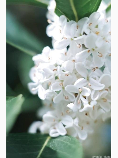 11/4、午前中にお会いしたお客様へ💕