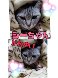 こんにちはー🎵