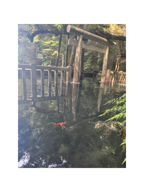 何気ないことだけど嬉しかった事ありますか?に回答