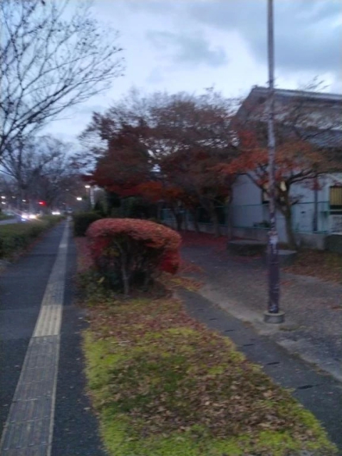 紅葉狩りいかれましたか🍁